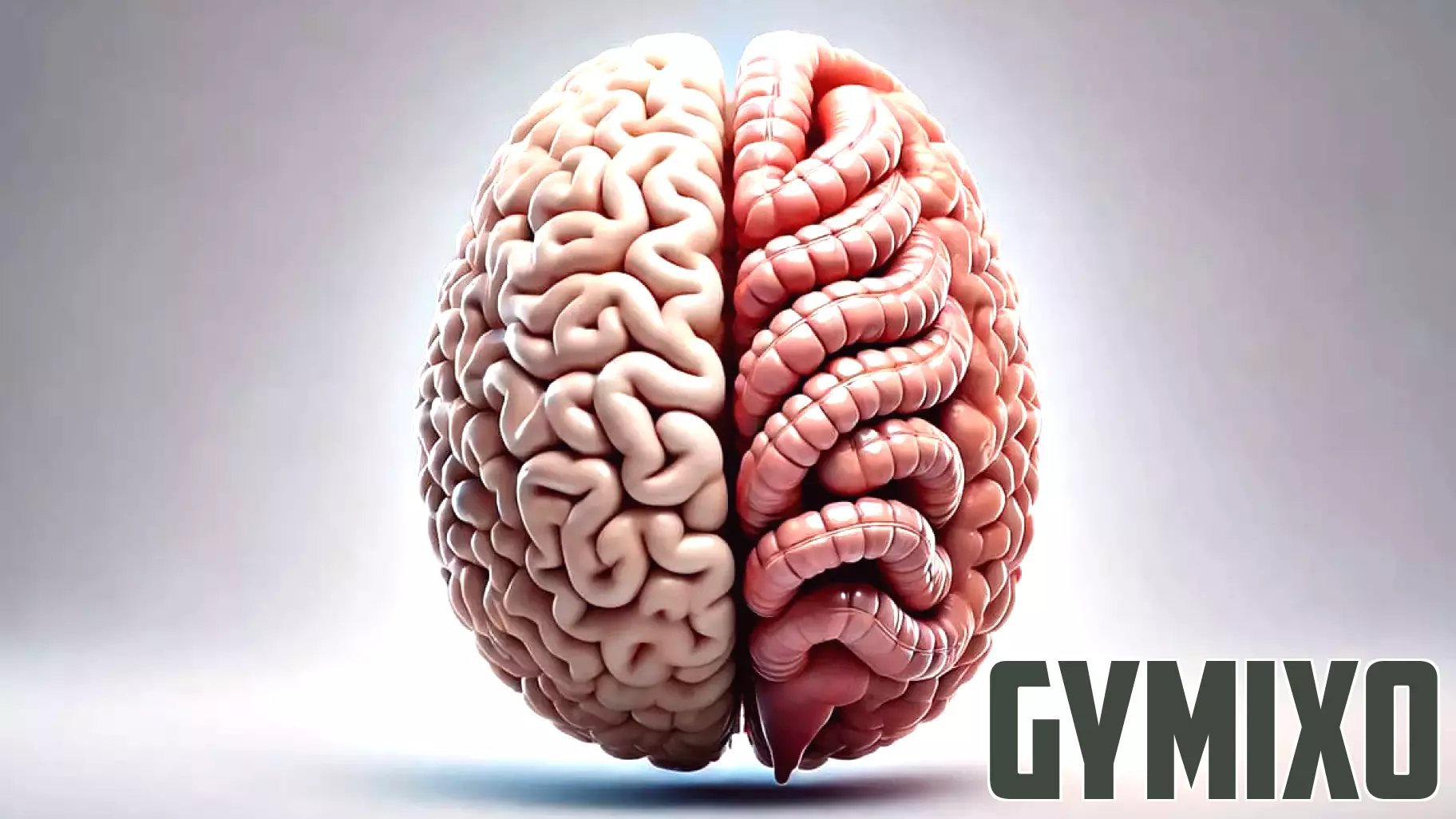 Restoring Gut Health May Enhance Long-Term Recovery from Stroke